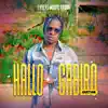 Hallo - Single album lyrics, reviews, download