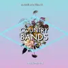 Country Bands - Single album lyrics, reviews, download