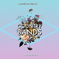 Country Bands - Single by Andrei Munteanu album reviews, ratings, credits