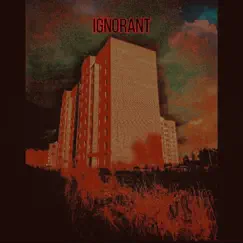 Ignorant - Single by ONENIGHT album reviews, ratings, credits