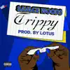 Trippy - Single album lyrics, reviews, download