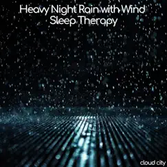Heavy Night Rain with Wind - Sleep Therapy by Cloudcity album reviews, ratings, credits