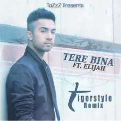 Tere Bina (feat. Elijah) [Tigerstyle Remix] Song Lyrics