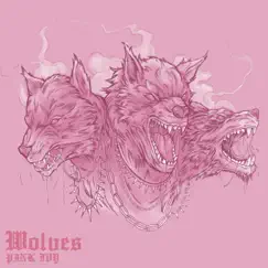Wolves (feat. Jlove) - Single by PINK IVY album reviews, ratings, credits