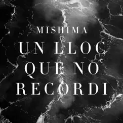 Un Lloc Que No Recordi - Single by Mishima album reviews, ratings, credits