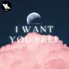 I Want You Feel - Single album lyrics, reviews, download