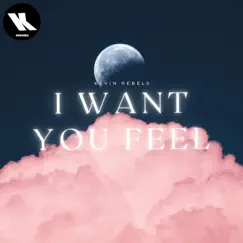 I Want You Feel - Single by Kevin Rebels album reviews, ratings, credits