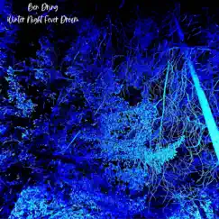 Winter Night Fever Dream - EP by Ben Dring album reviews, ratings, credits