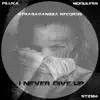 I Never Give Up - Single album lyrics, reviews, download