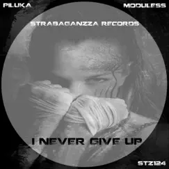 I Never Give Up - Single by Piluka & Moduless album reviews, ratings, credits