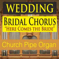 Wedding Bridal Chorus (Here Comes the Bride) [Church Pipe Organ] - Single by Steven Current album reviews, ratings, credits