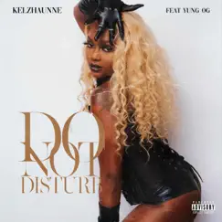 DND (feat. YUNG OG) - Single by Kelzhaunne album reviews, ratings, credits