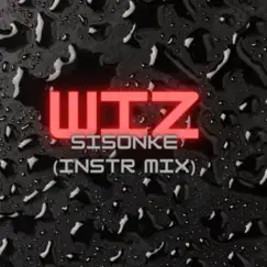 Sisonke (INSTRUMENTAL MIX) - Single by WIZ album reviews, ratings, credits