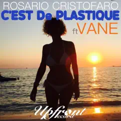 C'est de plastique (feat. Vane) [Radio Version] Song Lyrics