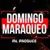 DOMINGO DE MARAQUEO (feat. EL PERROTE WZ & DANNY TYGER) - Single album lyrics, reviews, download