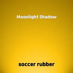 Moonlight Shadow Song Lyrics