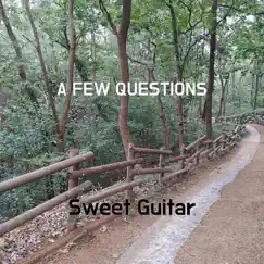 A Few Questions - Single by Sweet Guitar album reviews, ratings, credits