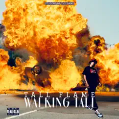 Walking Tall by Tall Flame album reviews, ratings, credits