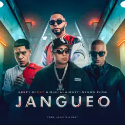 Jangueo (feat. Wisin) - Single by Arkey-O, Almighty & Ñengo Flow album reviews, ratings, credits