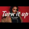Afro amapiano Turn it up - Single album lyrics, reviews, download