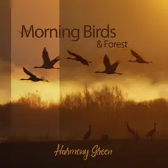 Morning Birds & Forest: Perfect for Daily Meditation by Harmony Green album reviews, ratings, credits