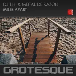 Miles Apart - Single by DJ T.H. & Meital De Razon album reviews, ratings, credits