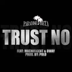 Trust No (feat. Macnificent & Oway) Song Lyrics