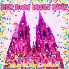 Der Dom muß Pink (Karaoke-Version) Song Lyrics