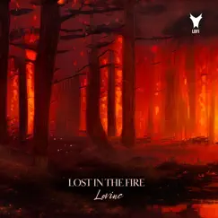 Lost in the Fire - Single by LoVinc album reviews, ratings, credits