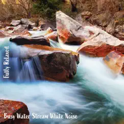 Fully Relaxed: Busy Water Stream White Noise by Steve Brassel album reviews, ratings, credits