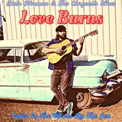 Love Burns/Cabin In the Woods By the Sea - Single by Dain Norman and The Chrysalis Effect album reviews, ratings, credits