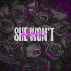 She Won't - Single by BabyRay album reviews, ratings, credits