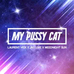 My Pussy Cat (Radio Edit French Quota) - Single by Laurent Veix, JNY LIVE & Meednight Sun album reviews, ratings, credits