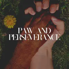Paw and Perseverance by Dog Relaxation, Calming for Dogs & Hundemusik album reviews, ratings, credits