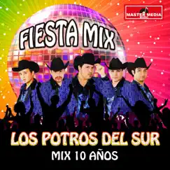 Mix 10 Aniversario: Quinceañera / el Rey de la Pobreza / Rosita de Olivo / Fue Tan Poco Tu Cariño - Single by Los Potros Del Sur album reviews, ratings, credits