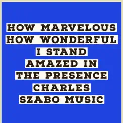 How Marvelous How Wonderful I Stand Amazed in the Presence (Vocal) Song Lyrics