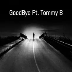 Goodbye - Single by Onesixtwo & Tommy B album reviews, ratings, credits