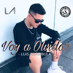 Voy a Olvidar - Single by Luis Arámbula album reviews, ratings, credits