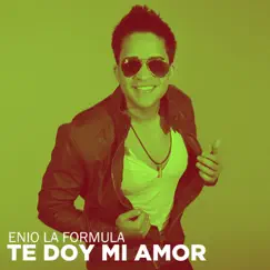 Te Doy Mi Amor Song Lyrics
