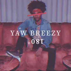 180° - Single by Yaw Breezy album reviews, ratings, credits
