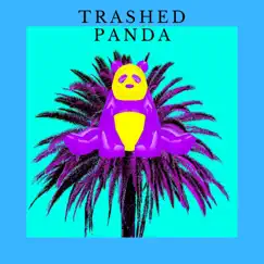 Haunted - Single by Trashed Panda album reviews, ratings, credits