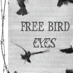 Free Bird - Single by Eyes Enter Space album reviews, ratings, credits