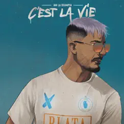 C'est la vie - Single by AM La Scampia album reviews, ratings, credits