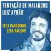 Tentação de Malandro - Single album lyrics, reviews, download