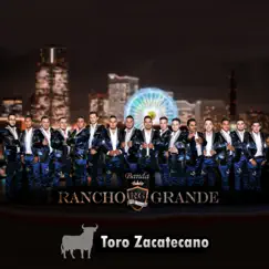 Toro Zacatecano Song Lyrics