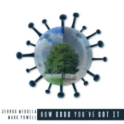 How Good You've Got It (feat. Jerrod Medulla) Song Lyrics