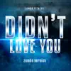 Didn't Love You - Single album lyrics, reviews, download