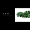 YLM (feat. Drew Daniels) - Single album lyrics, reviews, download