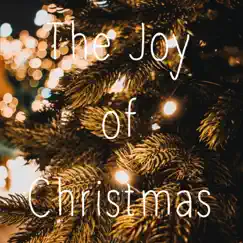 Joy To The World (Live) [feat. Lies Wildeman, Iris Schoonewille, Lennart Morée & Wim De Penning] Song Lyrics