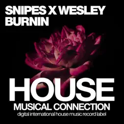 Burnin - Single by Snipes X Wesley album reviews, ratings, credits